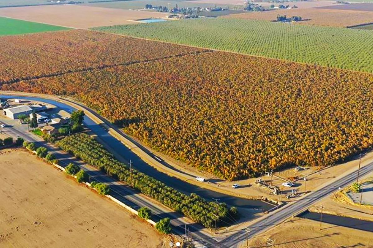 Miljoenen wietplanten ter waarde van een miljard dollar in beslag genomen in Californië